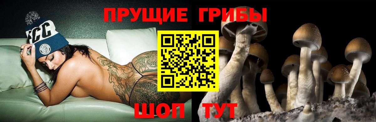  КОКАИН Великий Устюг
