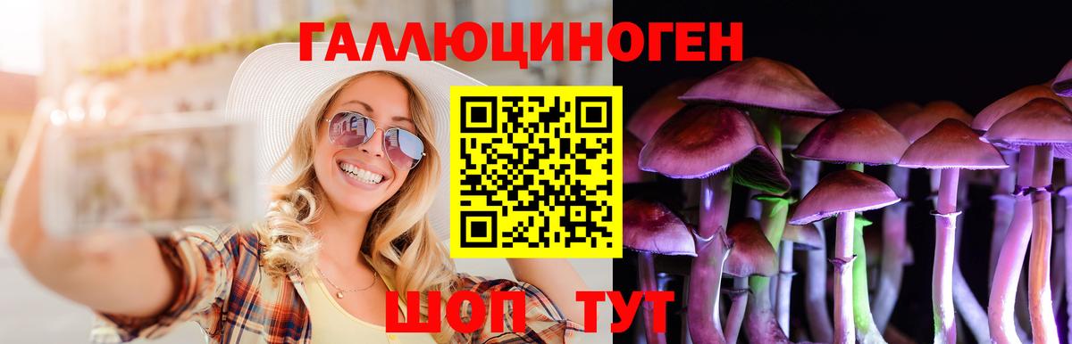 Великий Устюг  Галлюциногенные грибы Psilocybine cubensis  даркнет сайт  Вход с VPN 